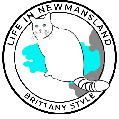 Life in Newmansland Logo
